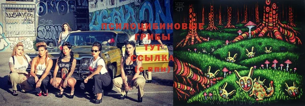 гидропоника Абдулино