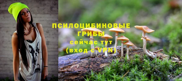 гидропоника Абдулино