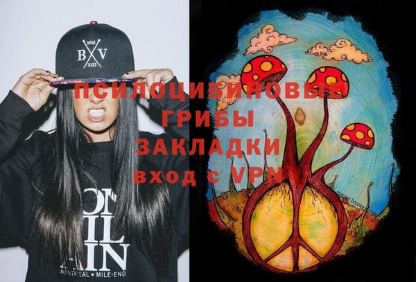 ешки Абаза